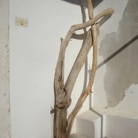 Il Nido Di Diana In Ortigia Apartment Syracuse Exterior photo